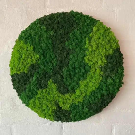 Blandet-mos-cirkel-3-farver-groen mospanel mosvæg mosbilleder